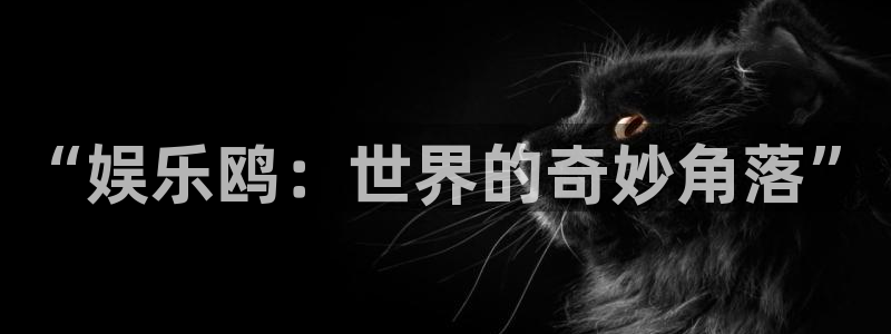 wg电子平台：“娱乐鸥：世界的奇妙角落”