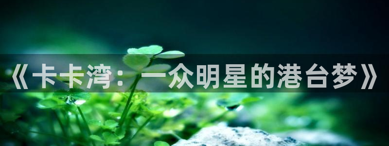 wg电子平台：《卡卡湾：一众明星的港台梦》