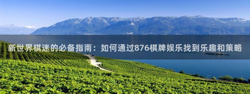 wg电子：新世界棋迷的必备指南：如何通过876棋牌娱乐找到乐趣和策略