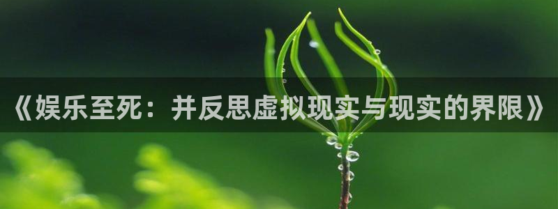 wg电子平台：《娱乐至死：并反思虚拟现实与现实的界限》