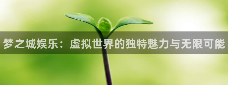 wg电子平台：梦之城娱乐：虚拟世界的独特魅力与无限可能