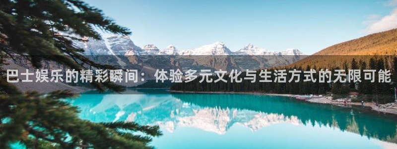 wg电子平台：巴士娱乐的精彩瞬间：体验多元文化与生活方式的无限可能